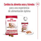 Royal Canin Medium 10+ Ageing pienso para perros, , large image number null
